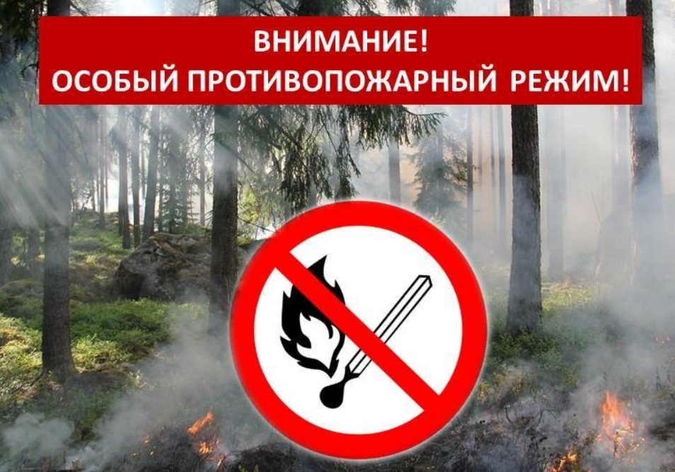 В Республике Коми введен особый противопожарный режим.