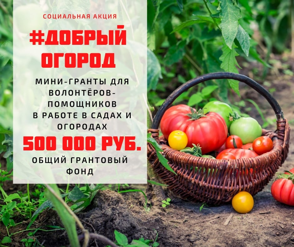 #ДОБРЫЙ ОГОРОД-2023: сезон открыт.