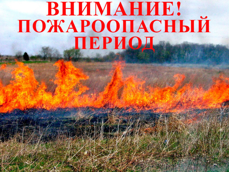 РЕКОМЕНДАЦИИ по выполнению Правил противопожарного режима в Российской Федерации в период прохождения летнего пожароопасного сезона. РЕКОМЕНДАЦИИ по выполнению Правил противопожарного режима в Российской Федерации в период прохождения летнего пожароопасного сезона.