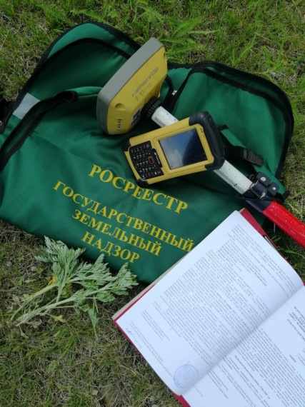 Итоги федерального государственного земельного контроля(надзора) 2024 года. Итоги федерального государственного земельного контроля(надзора) 2024 года.